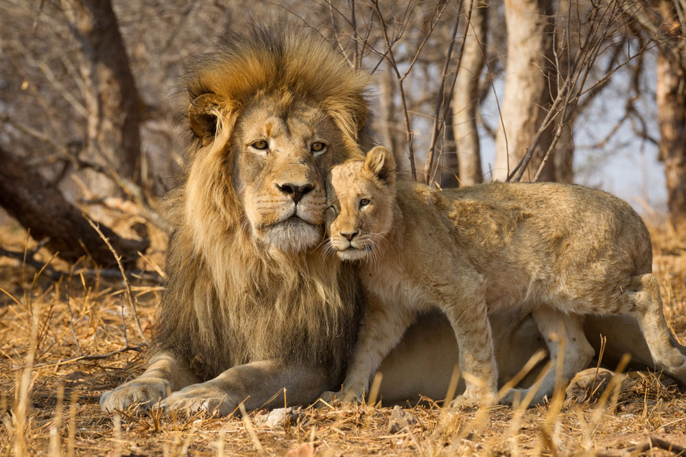 Kruger National Park